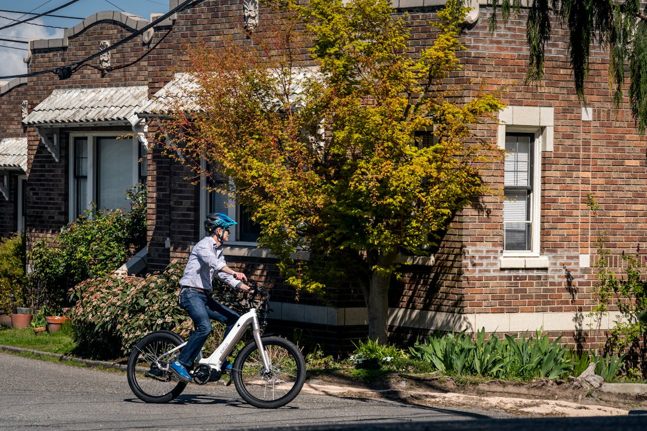 pexels photo 15021624.jpeg